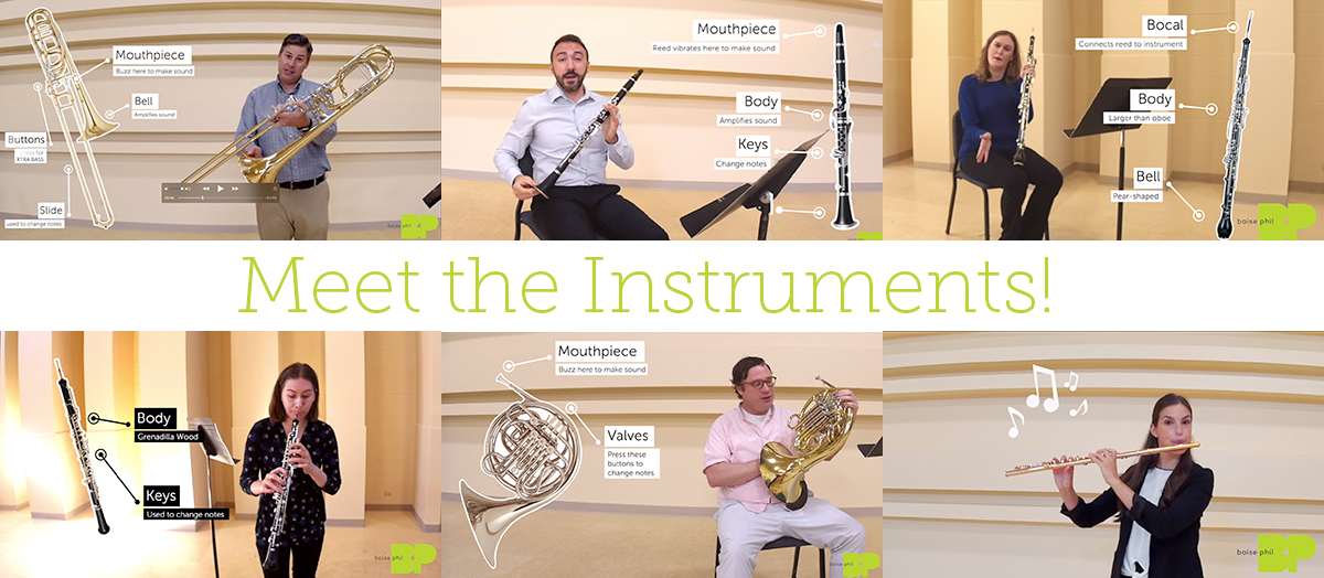 Meet the Instruments