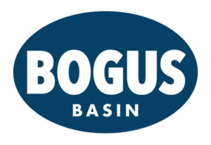 Bogus