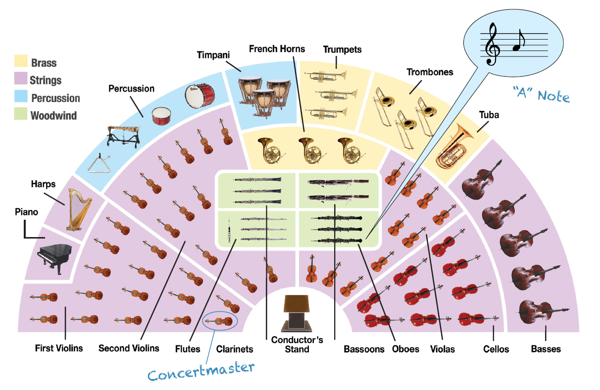 Seating Chart Of The Traditional Symphony Orchestra At Eva Sherwin Blog Seating Chart Of The Traditional Symphony Orchestra At Eva Sherwin Blog